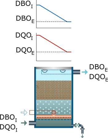 Biofiltro aerado submerso
