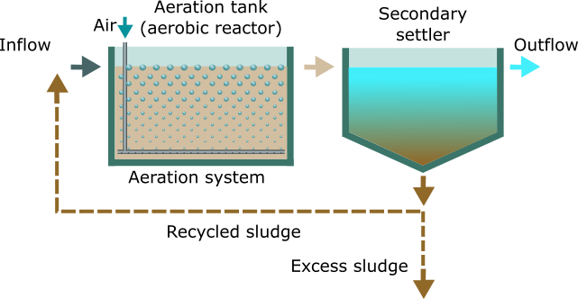 Activated sludge bioreactor